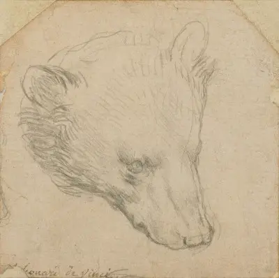 Head of a Bear